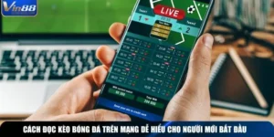 Cách Đọc Kèo Bóng Đá Trên Mạng Dễ Hiểu Cho Người Mới