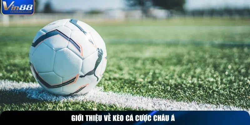 Giới thiệu về kèo cá cược châu Á