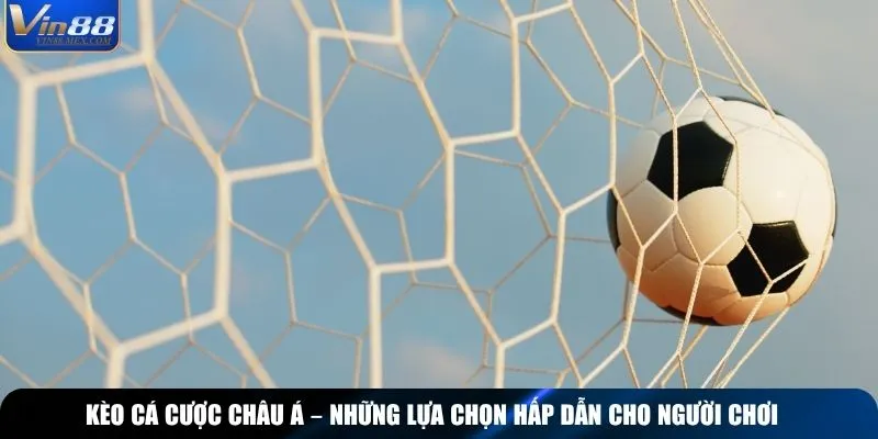 Kèo cá cược châu Á – những lựa chọn hấp dẫn cho người chơi