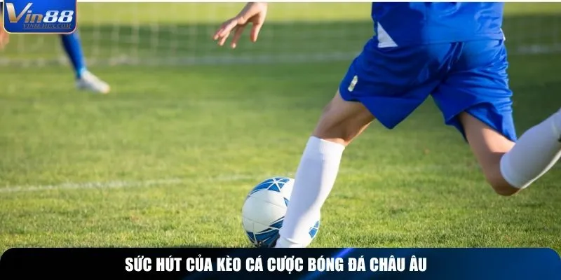 Sức hút của kèo cá cược bóng đá châu Âu