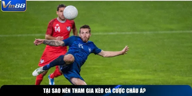 Tại sao nên tham gia kèo cá cược châu Á?