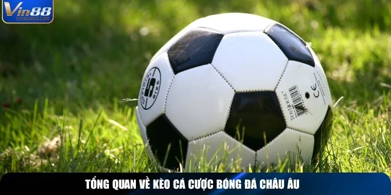 Tổng quan về kèo cá cược bóng đá châu Âu