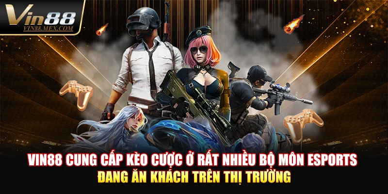 VIN88 cung cấp kèo cược ở rất nhiều bộ môn Esports đang ăn khách trên thị trường